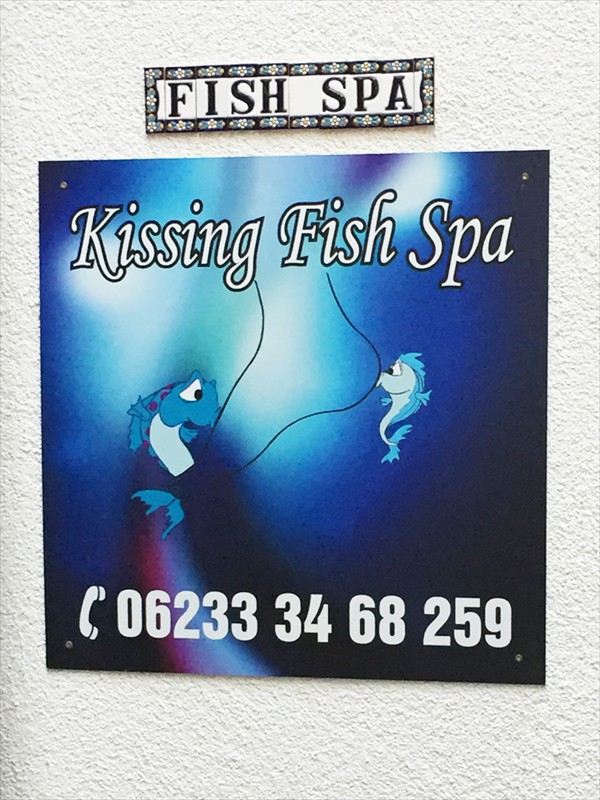 kissing-fish-spa-frankenthal-8